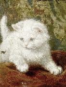 Signed Henriette Ronner Henriette Ronner-Knip